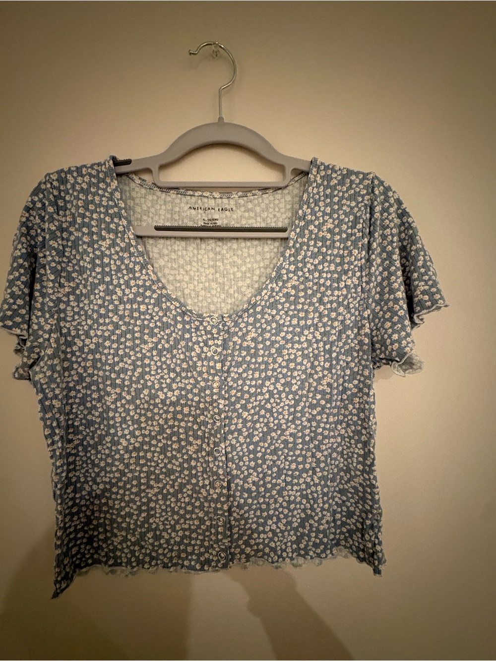 EUC American Eagle Outfitters Blue Floral Crop Top XL